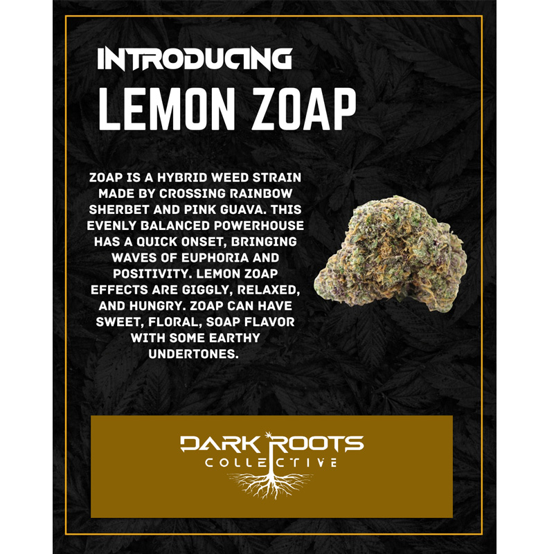 Lemon Zoap 2.jpg